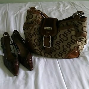 Nice Sophia Caperelli bag !